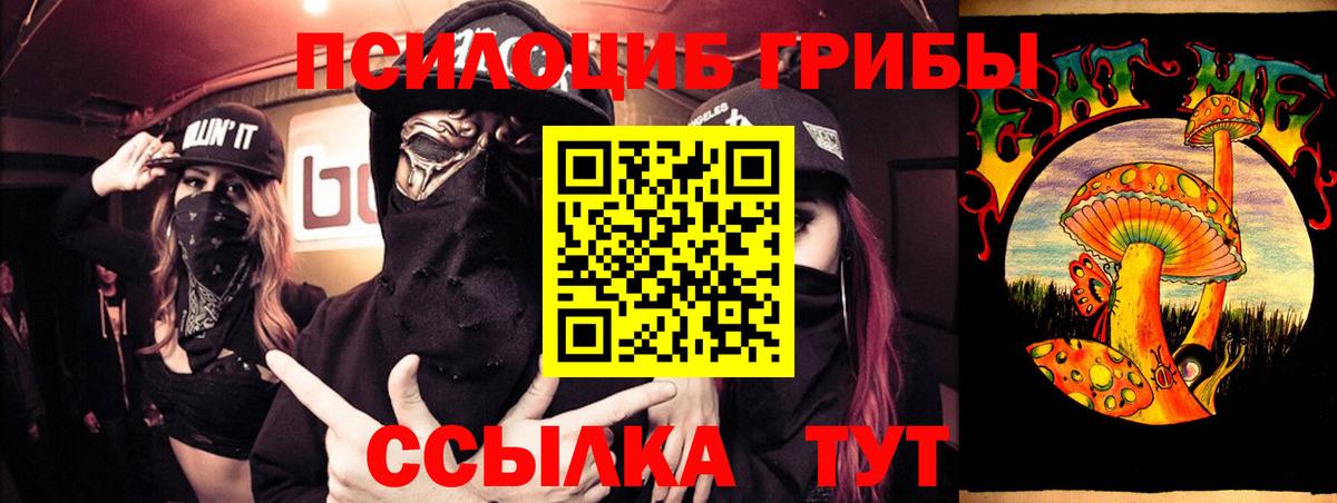 Псилоцибиновые грибы Magic Shrooms Губкин