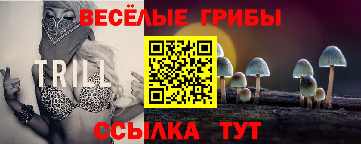 Псилоцибиновые грибы Psilocybe  Псилоцибиновые грибы Psilocybine cubensis  Губкин  Вход с VPN 