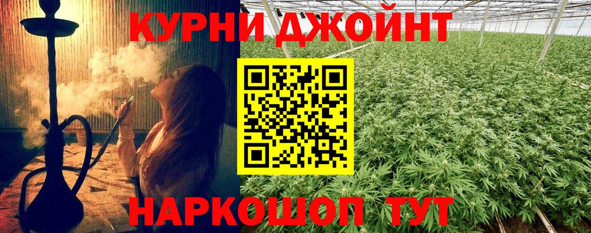 Бошки марихуана семена  Канабис планчик  Губкин  Каннабис конопля  Вход с VPN 